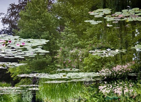 SPENCER FINCH 斯宾塞&bull;芬奇