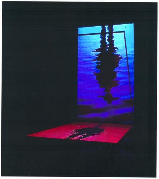 Bill Viola, The World of Appearances, 2000, video installation