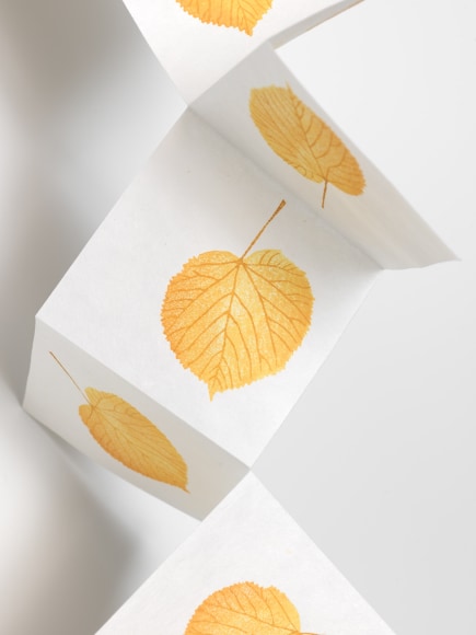 SPENCER FINCH Falling Linden Leaf