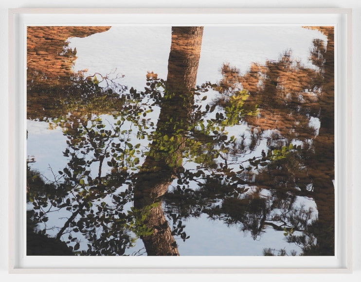 SPENCER FINCH Reflection Study (Kenrokuen), 2017&nbsp;