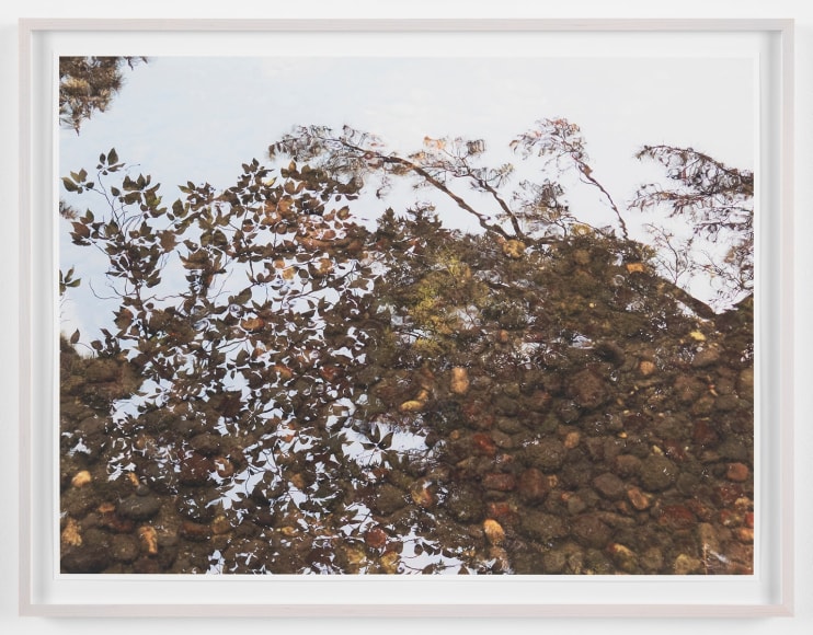 SPENCER FINCH Reflection Study (Kenrokuen), 2017&nbsp;