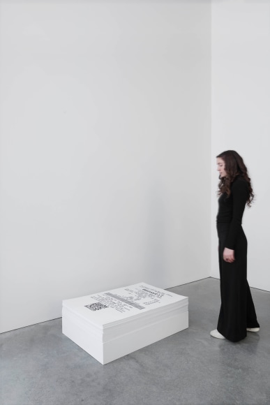 TERESA MARGOLLES Receipt, 2020