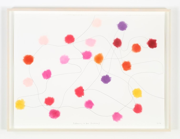 SPENCER FINCH  Following a Bee