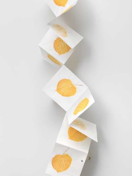 SPENCER FINCH Falling Linden Leaf