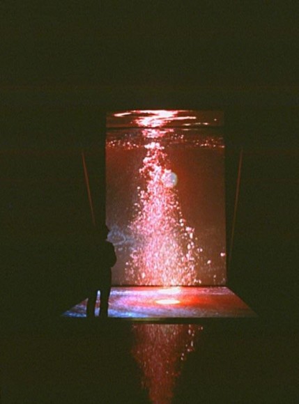 Bill Viola, The World of Appearances, 2000, video installation