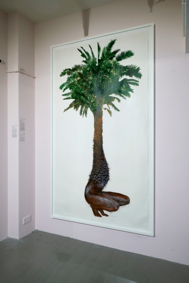 FIRELEI B&Aacute;EZ Wanderlust demanding recompense, 2015