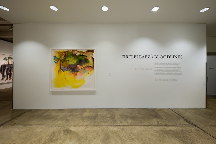 FIRELEI B&Aacute;EZ, Installation view:&nbsp;Bloodlines,&nbsp;The Andy Warhol Museum, February 17&ndash;May 21, 2017