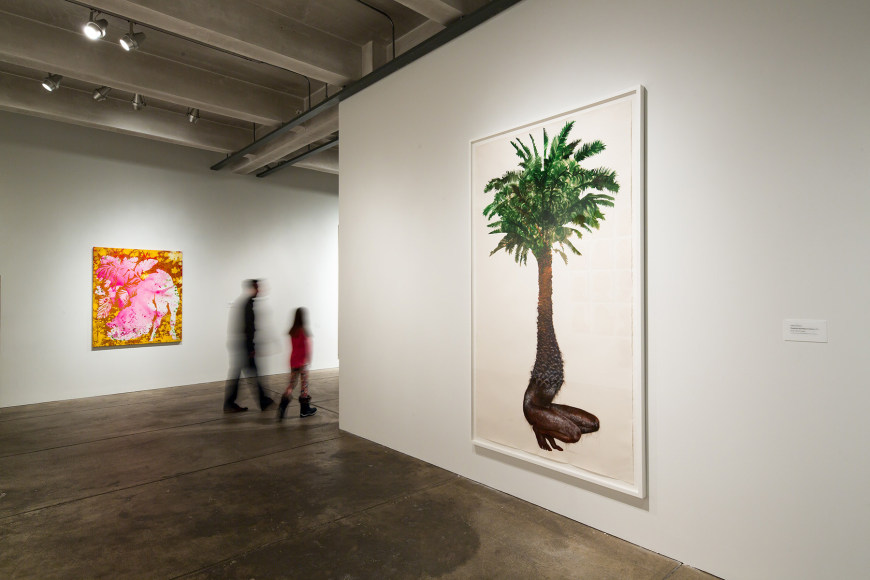 FIRELEI B&Aacute;EZ, Installation view:&nbsp;Bloodlines,&nbsp;The Andy Warhol Museum, February 17&ndash;May 21, 2017