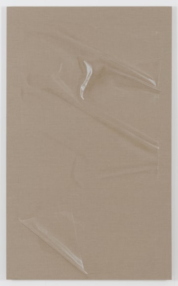 HELENE APPEL  Plastic Sheet (2), 2013