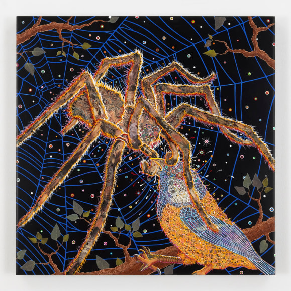 , FRED TOMASELLI