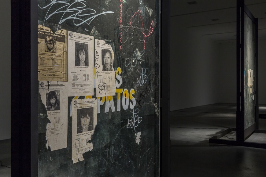 TERESA MARGOLLES, La búsqueda