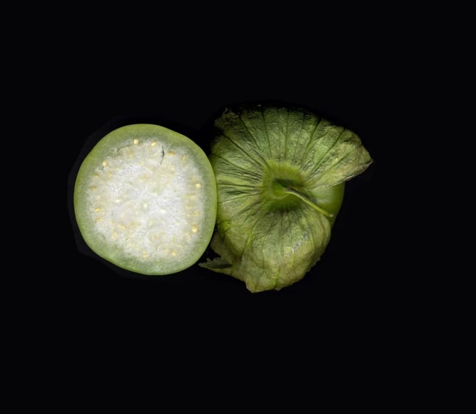 LOS JAICHACKERS (Eamon Ore-Giron &amp;amp; Julio C&eacute;sar Morales), Night Shade/Solanaceae (still), 2013