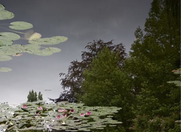 SPENCER FINCH 斯宾塞&bull;芬奇