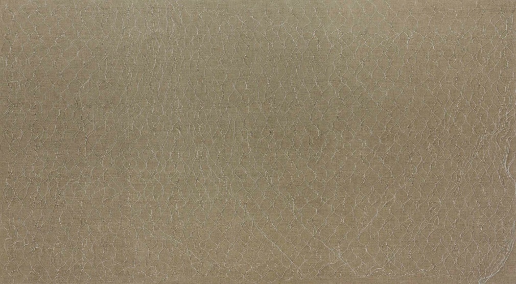 HELENE APPEL  Large Nylon Net, 2011