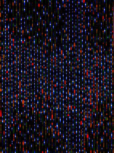 FRED TOMASELLI, Eyes Inverted in Endless Audio, 2002,