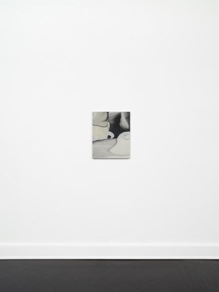 Installation view, Rezi van Lankveld, Soft Sun, Petzel, 2022