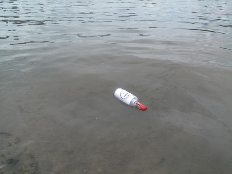 Christian Jankowski, Review &ndash;&nbsp;Waterproof Test