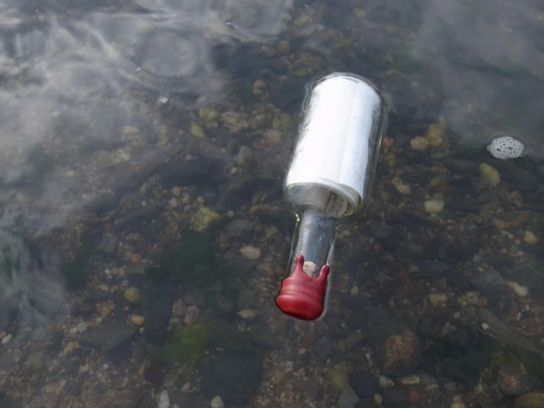 Christian Jankowski, Review &ndash;&nbsp;Waterproof Test