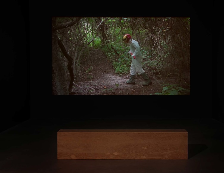 Installation view, A Song for Nat, Against a Civic Death: an overture, Suzanne Vielmetter Projects, Los Angeles, CA, 2013