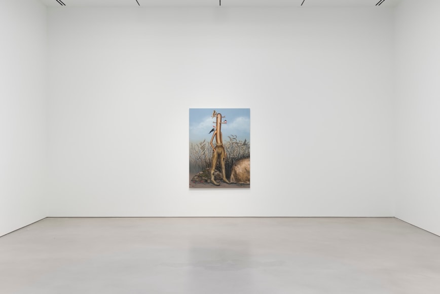 Installation view, Emily Mae Smith,&nbsp;Heretic Lace,&nbsp;Petzel, 2022