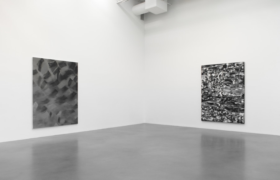 Ross Bleckner, Pharmaceutria