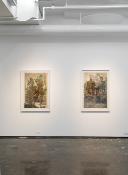 SARA ANGELUCCI | ARBORETUM | INSTALLATION VIEW | PATRICK MIKHAIL GALLERY | MONTRÉAL