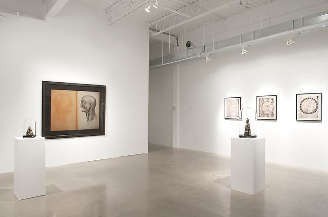 CINDY STELMACKOWICH | IN MOURNING OF | VUE D'EXPOSITION | GALERIE PATRICK MIKHAIL | OTTAWA | 2010