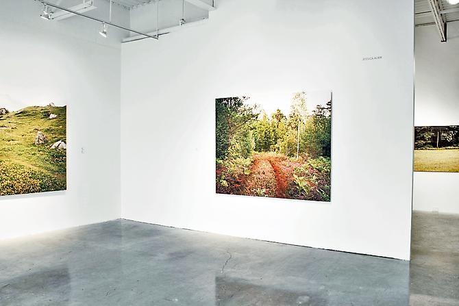 JESSICA AUER | MEADOW | INSTALLATION VIEW |&nbsp;PATRICK MIKHAIL GALLERY | OTTAWA | 2012