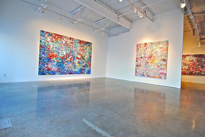 AMY SCHISSEL | SYSTEMS FEVER | VUE D'EXPOSITION | GALERIE PATRICK MIKHAIL | OTTAWA | 2012