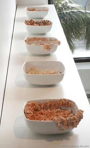 DEBORAH MARGO | 40019's CEASELESS TRANSFORMATIONS | INSTALLATION VIEW | PATRICK MIKHAIL GALLERY | OTTAWA | 2009