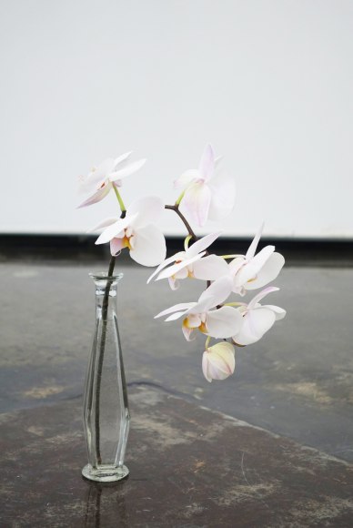MICHAEL VICKERS | ORCHID VESSEL | FLEURS ET VASE ANTIQUE | 8 X 2 X 2 POUCES | 2017