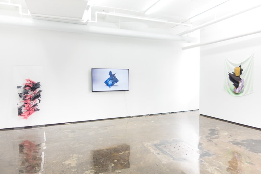OLIVER PAUK | ABERRATION | VUE D'EXPOSITION | GALERIE PATRCIK MIKHAIL | MONTRÉAL | 2016