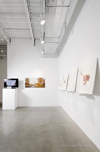 ANDREW MORROW | THIS IS GOING TO HAPPEN AND THERE'S NOTHING WE CAN DO TO STOP IT | INSTALLATION VIEW | PATRICK MIKHAIL GALLERY | OTTAWA | 2011