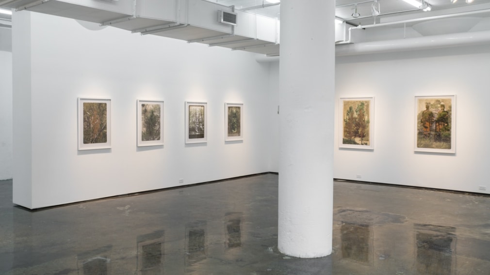 SARA ANGELUCCI | ARBORETUM | INSTALLATION VIEW | PATRICK MIKHAIL GALLERY | MONTRÉAL