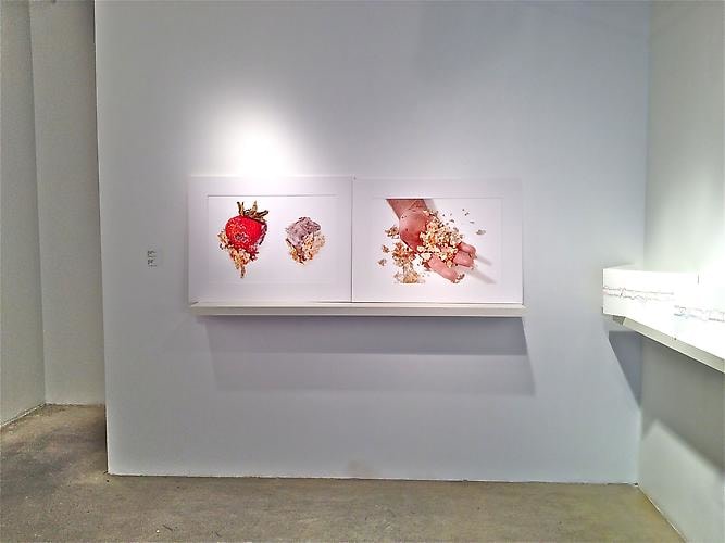 PATRICK MIKHAIL EDITIONS | INSTALLATION VIEW | PATRICK MIKHAIL GALLERY | OTTAWA | 2012