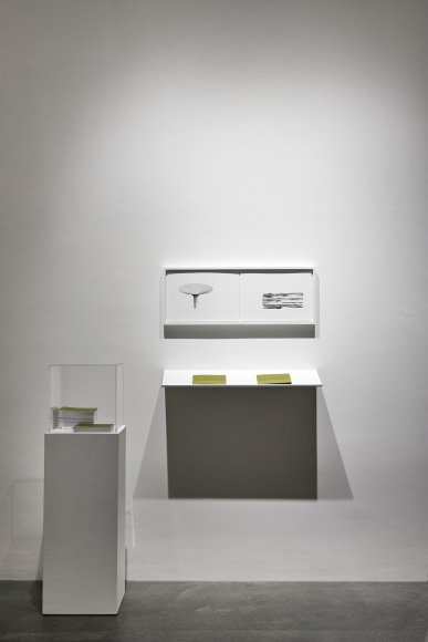 NATASCHA NIEDERSTRASS | STRESS AIGU (INSTALLATION) | ARTIST BOOK | 2023