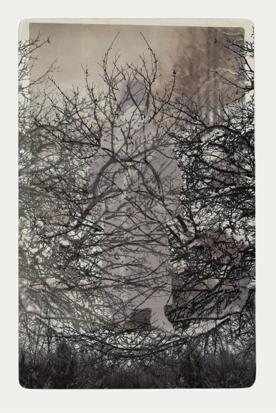 SARA ANGELUCCI | ARBORETUM (BOY/WINTER HAWTHORNE) | PIGMENT PRINT ON ARCHIVAL PAPER | 2016
