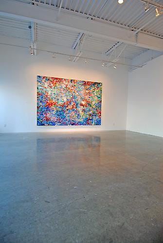AMY SCHISSEL | SYSTEMS FEVER | VUE D'EXPOSITION | GALERIE PATRICK MIKHAIL | OTTAWA | 2012