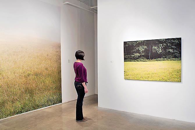 JESSICA AUER | MEADOW | INSTALLATION VIEW |&nbsp;PATRICK MIKHAIL GALLERY | OTTAWA | 2012