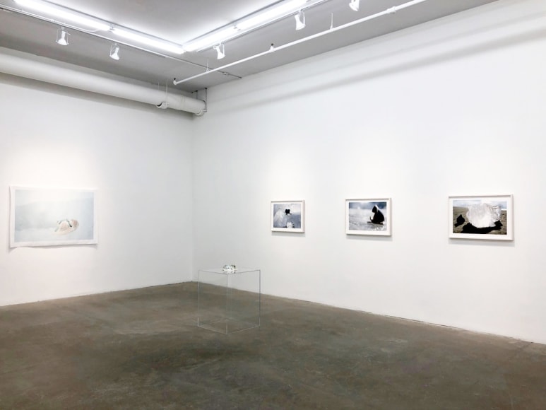 EVE K. TREMBLAY | AU LAC DES POSSIBLES | VUE D'EXPOSITION | GALERIE PATRICK MIKHAIL | MONTRÉAL | 2020