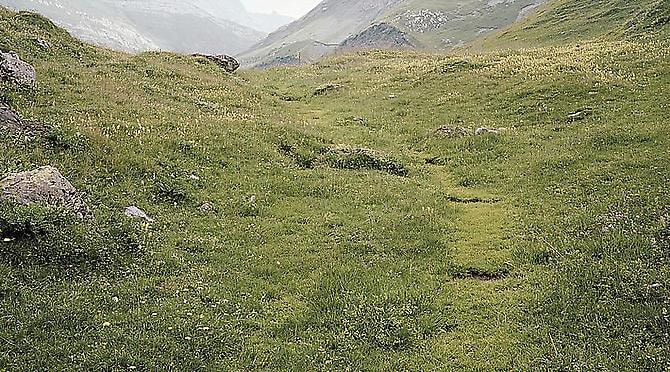 JESSICA AUER | MEADOW | C-PRINT MOUNTED ON DIBOND |&nbsp;VARIABLE&nbsp;DIMENSIONS | 2012