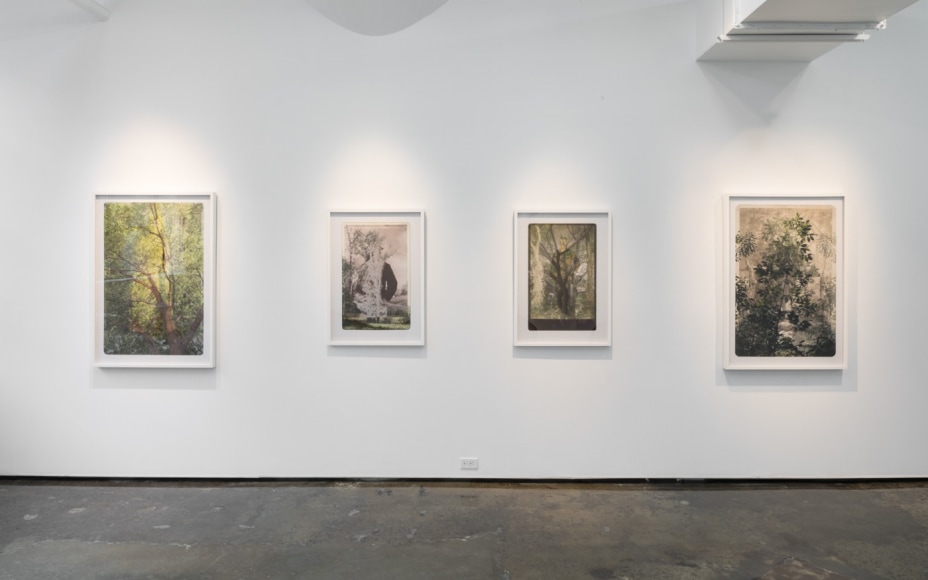 SARA ANGELUCCI | ARBORETUM | INSTALLATION VIEW | PATRICK MIKHAIL GALLERY | MONTRÉAL