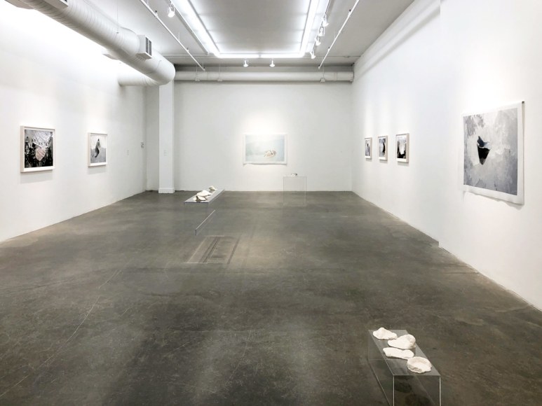 EVE K. TREMBLAY | AU LAC DES POSSIBLES | VUE D'EXPOSITION | GALERIE PATRICK MIKHAIL | MONTRÉAL | 2020