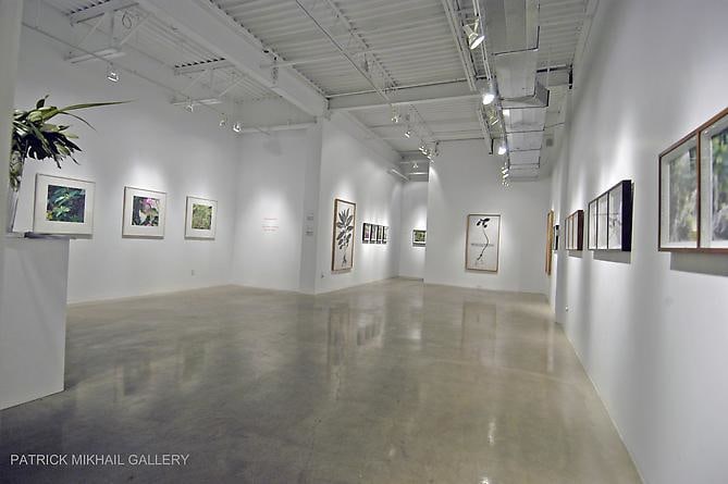 SUSAN MCEACHERN | STRUCTURES OF MEANING | INSTALLATION VIEW | PATRICK MIKHAIL GALLERY | OTTAWA | 2009