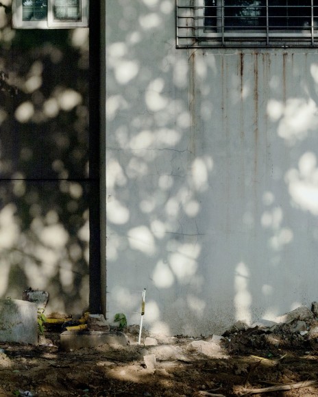 JINYOUNG KIM | TREE SHADOW ON CONCRETE | C-PRINT | 24 X 19 INCHES | EDITION OF 5 | 2019,  