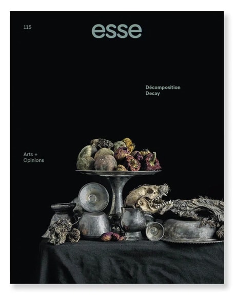 NATASCHA NIEDERSTRASS | ESSE