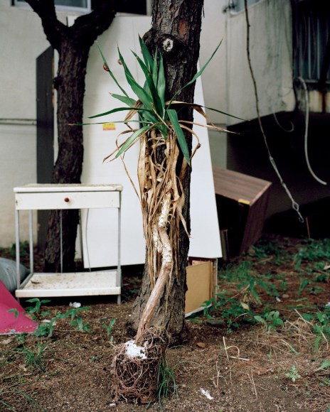 JINYOUNG KIM | PILE, SECTOR 112&nbsp;| INKJET PRINT | 20&nbsp;X 16&nbsp;INCHES | EDITION OF 5 | 2016, &nbsp;