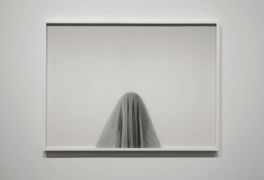 NATASCHA NIEDERSTRASS | SANS TITRE (DISSIMULÉE)  | INK JET ON HAHNEMÜHLE | 32 X 43 INCHES | 2021