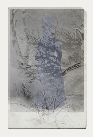 SARA ANGELUCCI | ARBORETUM (WOMAN/WINTER/FOREST) | PIGMENT PRINT ON ARCHIVAL PAPER | 24 X 34 INCHES | 2016 