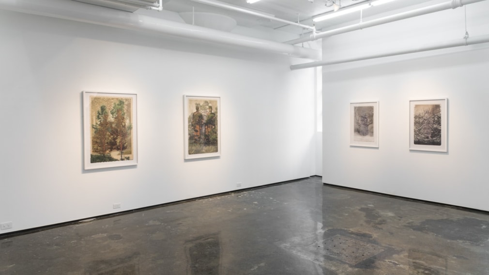 SARA ANGELUCCI | ARBORETUM | INSTALLATION VIEW | PATRICK MIKHAIL GALLERY | MONTRÉAL